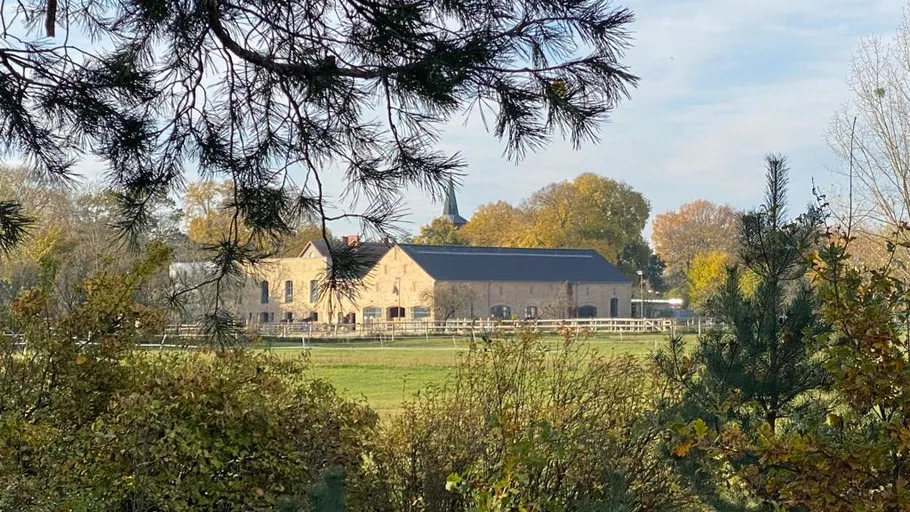 Steingebäude auf Feld, von Bäumen umrahmt.