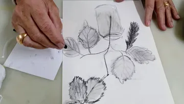 Hand drawing leaves with charcoal on paper.