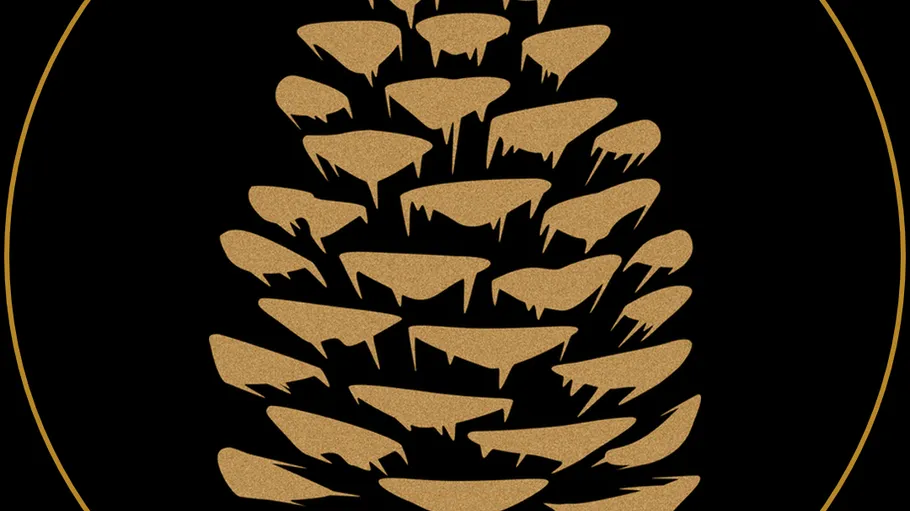 Abstract pine cone design on black background.