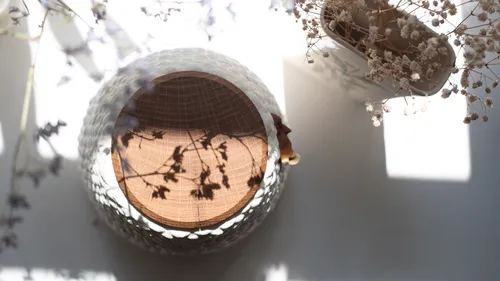 Decorative bowl casts shadow, surrounded by flowers.