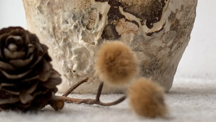 Tannenzapfen und flauschige Bälle neben strukturiertem Topf.