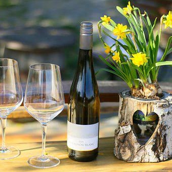 Weinprobe in Nürnberg: Probiere mehrere Sorten Weine