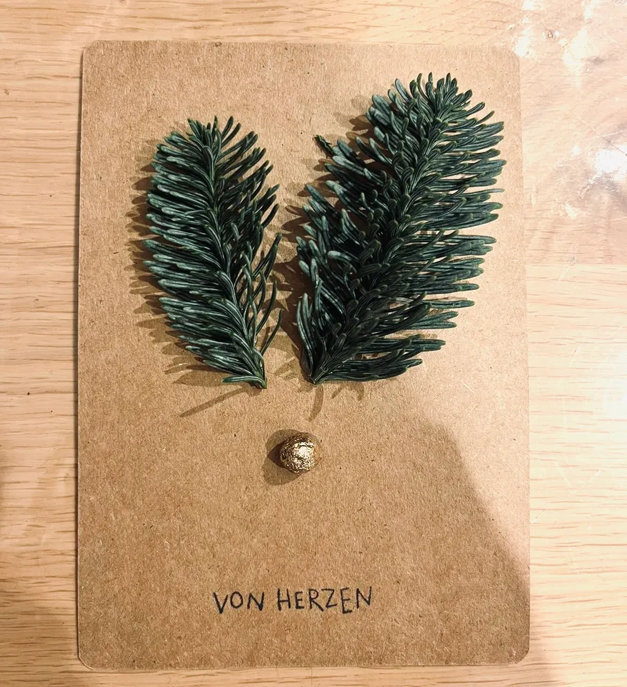 Pine branches arranged on a cardboard card.
