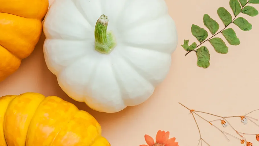 White pumpkin with orange pumpkins and leaves.