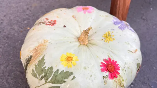 Dekorierter Kürbis mit bunten Blumen auf Pflaster.