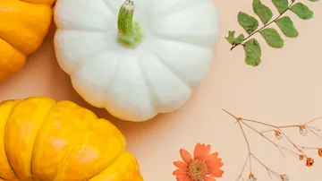 Colorful pumpkins and leaves on a beige background.