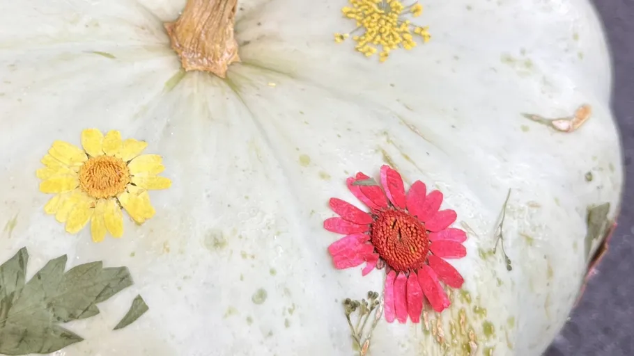 Kürbis mit bunten gepressten Blumen dekoriert.
