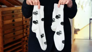 Person holding socks with cat design indoors.
