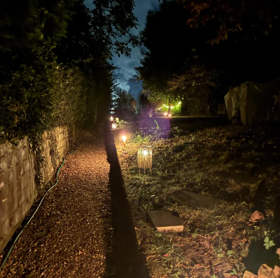 Garden path illuminated by lanterns at night.
