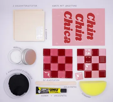 Craft kit with instructions and materials.