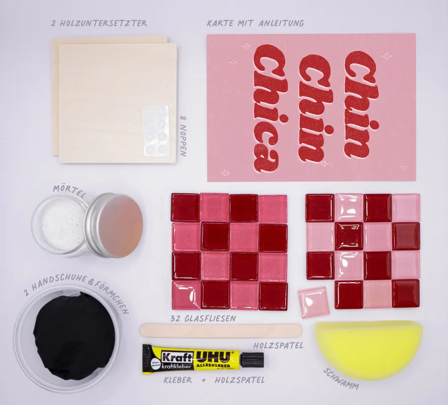Craft kit with instructions and materials.