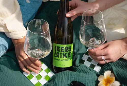 Two hands holding wine glasses on blanket.