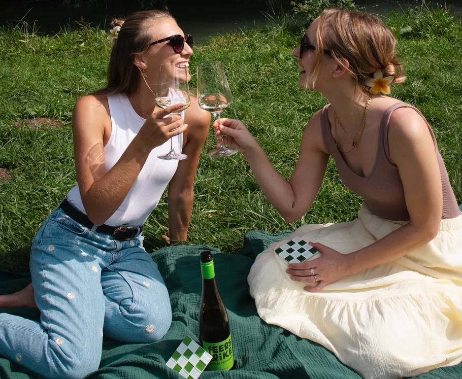 Two women clinking glasses during picnic.