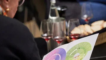 Person examining wine flavor chart in tasting setting.