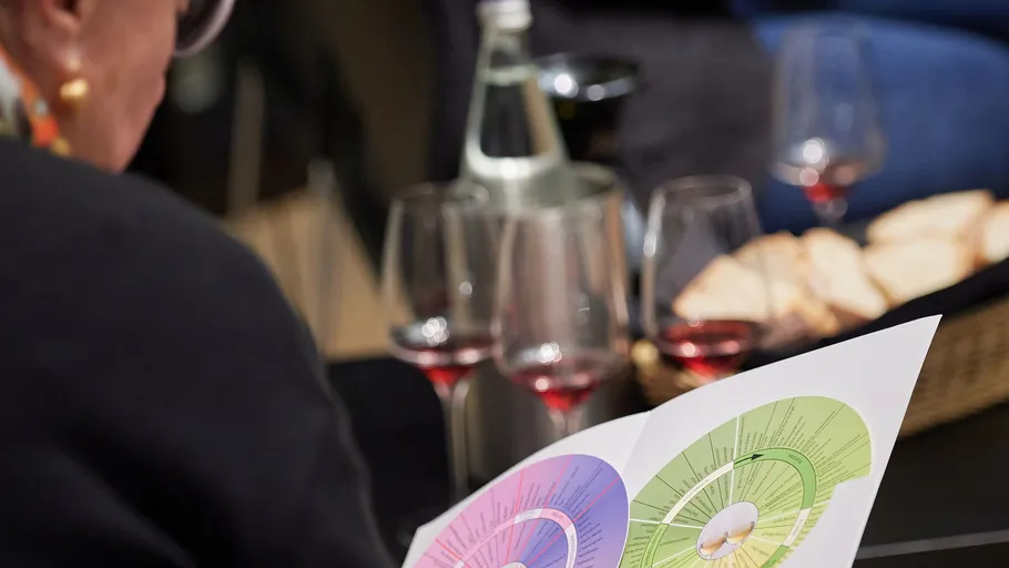 Person betrachtet Geschmacksdiagramm bei Weinprobe.