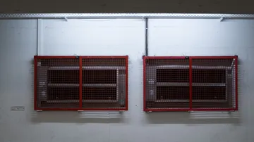 Two red grid-covered windows on white wall.