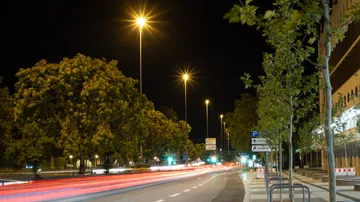 Nachtstraße mit Lichtspuren und Bäumen.
