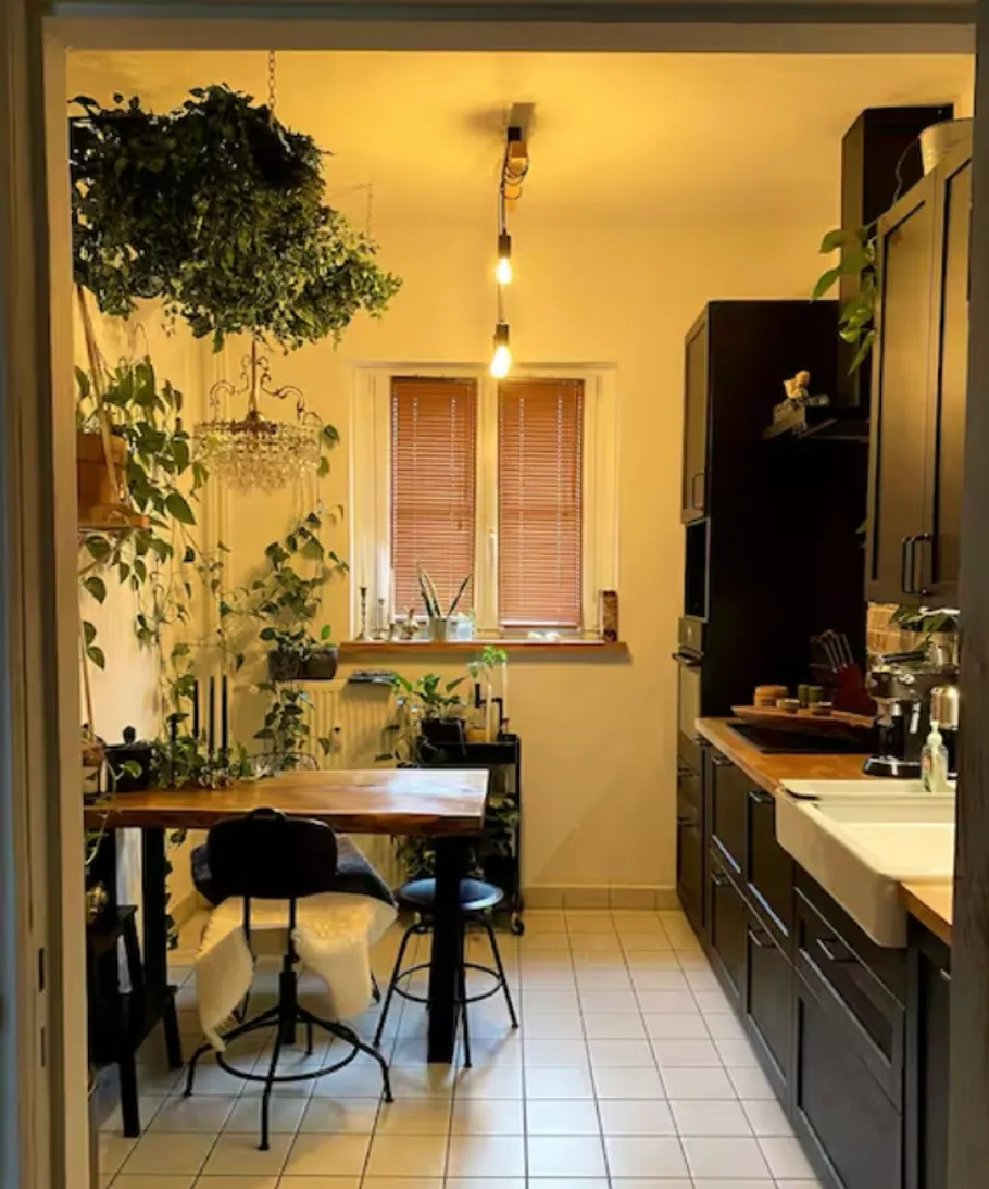 Cozy kitchen with plants and wooden furniture.