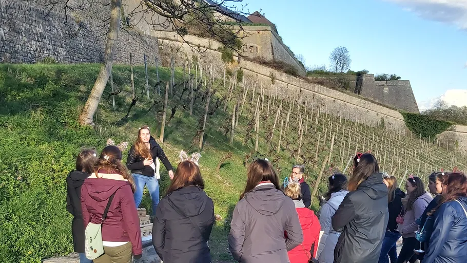 Group touring vineyards near historic stone walls.