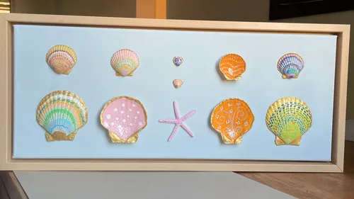 Bunte Muscheln und Seestern in einem Rahmen ausgestellt.