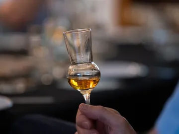 Ein Glas mit goldfarbigem Getränk wird gehalten.