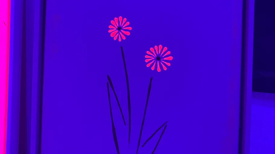 Zwei Neonblumen auf dunklem Hintergrund.