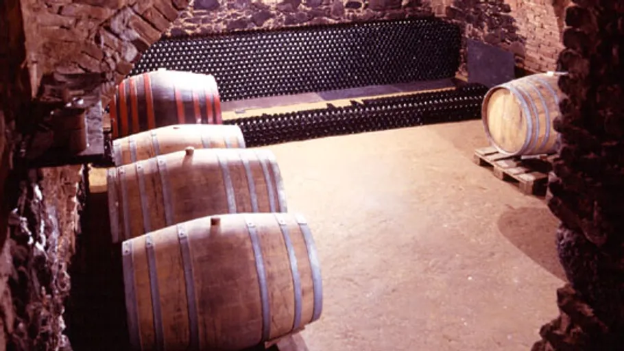 Barrels and bottles in a wine cellar.