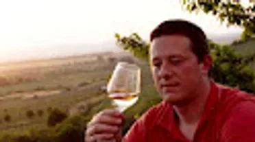 Man examining wine glass in vineyard.