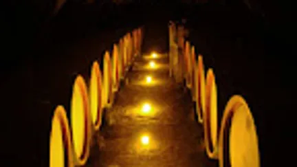 Weinfässer im dunklen Keller, schummrig beleuchtet.