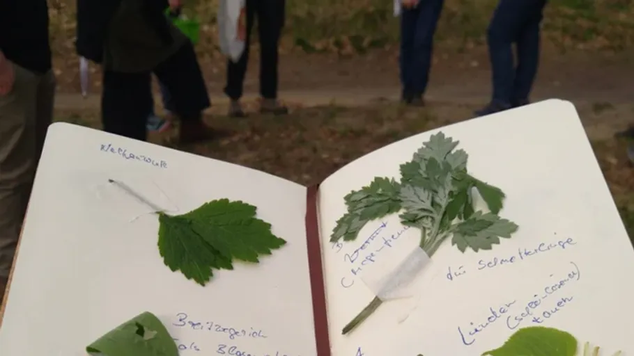 Notebook with leaves, people in background.