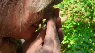 Woman closely examining a small frog outdoors.