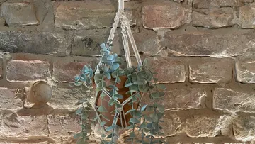 Hanging plant in a pot in front of a brick wall.