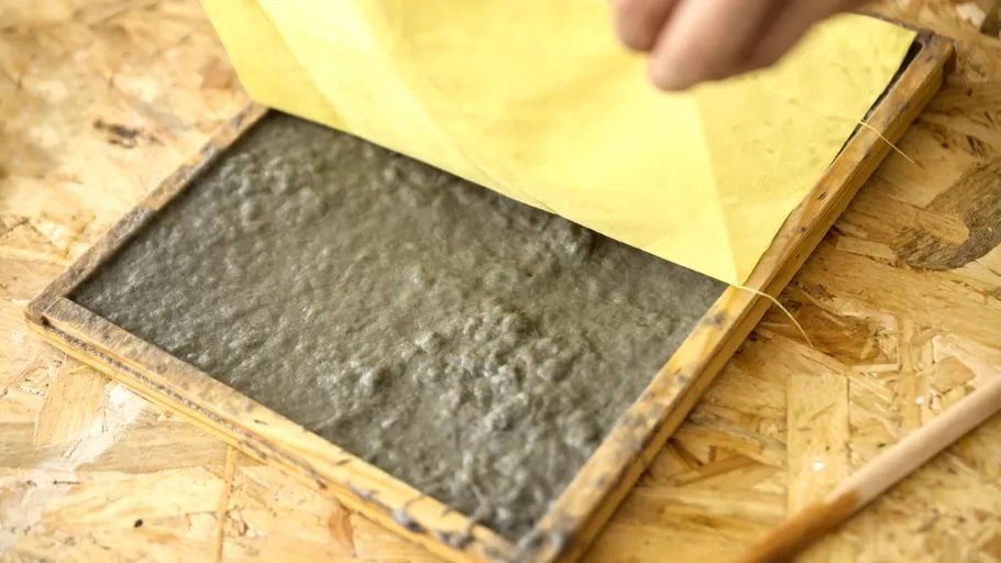 Hand lifting sheet from wet paper pulp.