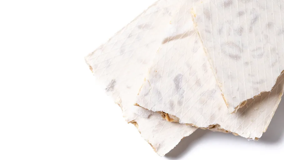 Tempeh slices on a white background.