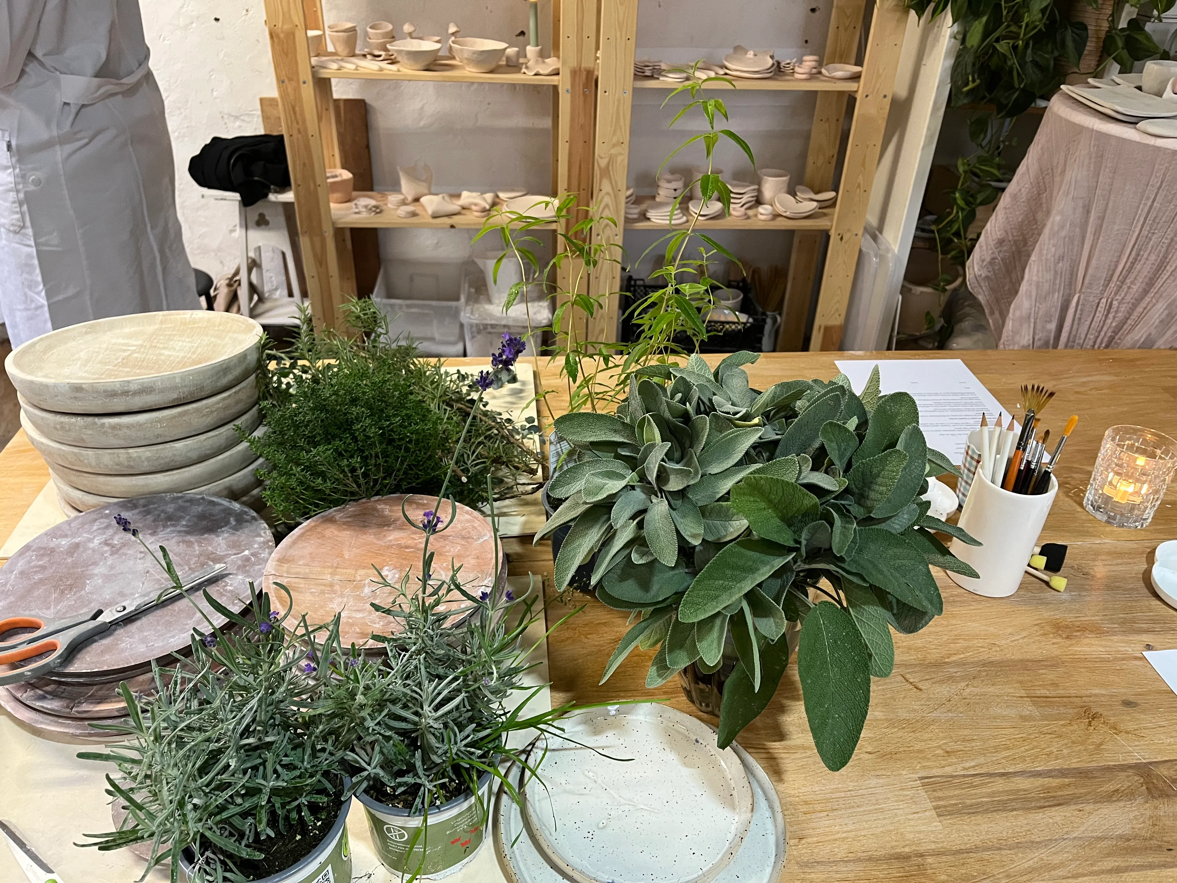 Plants and ceramic items on a wooden table.