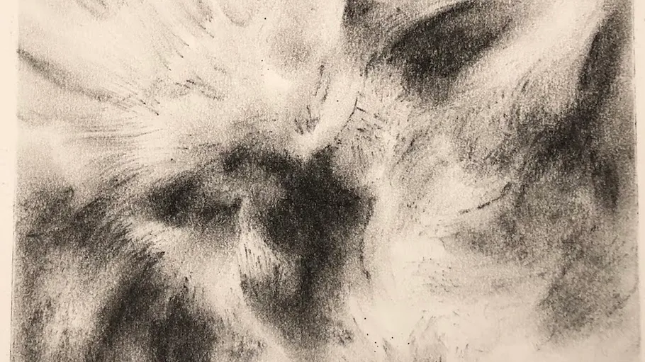Abstract charcoal drawing with dynamic strokes.