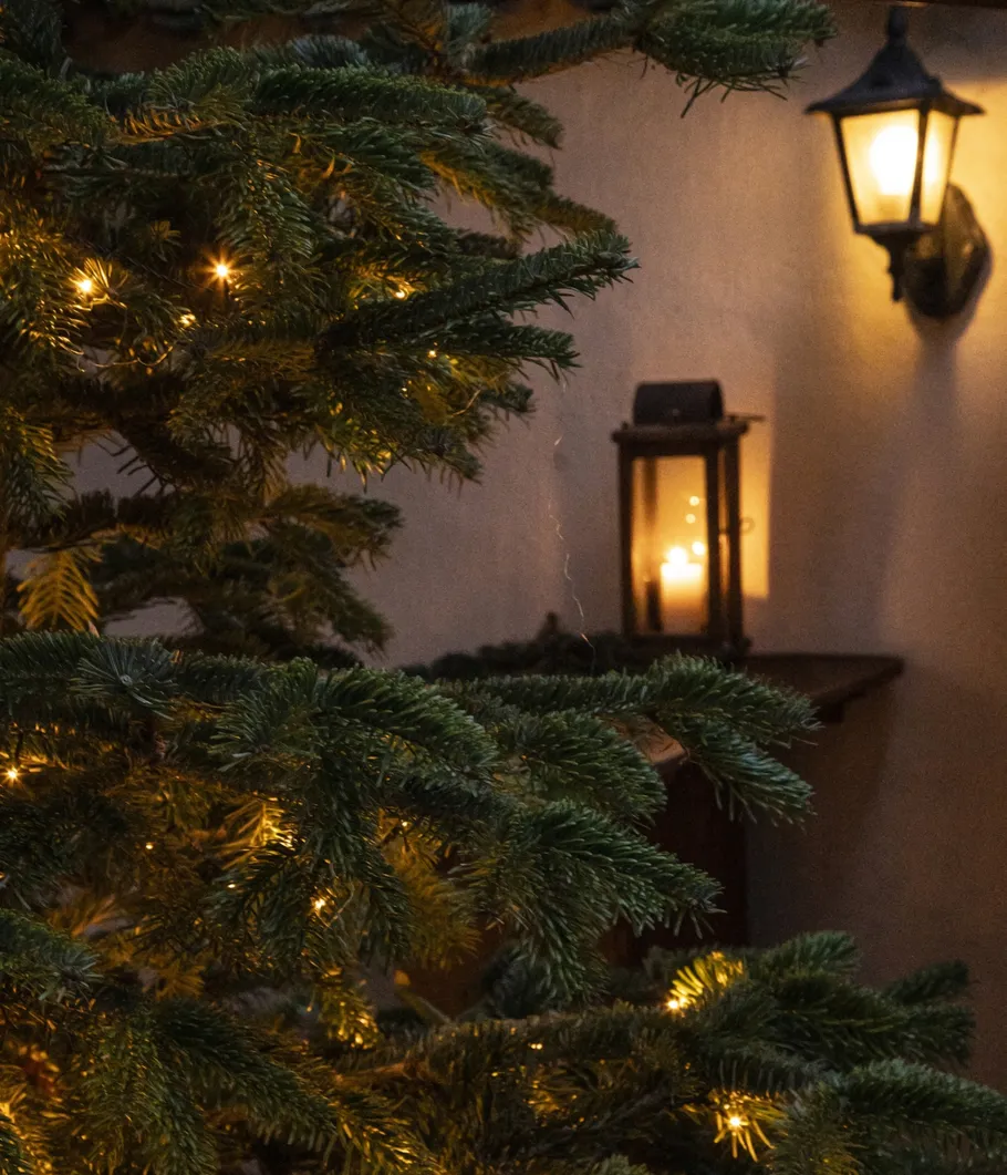 Weihnachtsbaum mit Lichtern neben Wandlaterne.