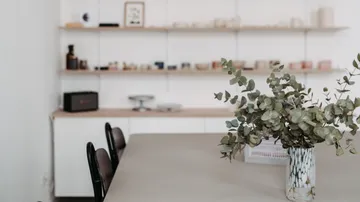 Vase mit grünem Pflanze auf Esstisch.