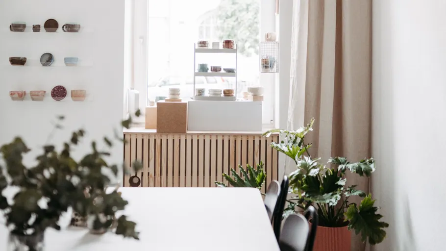 Plants and pottery in a bright room.