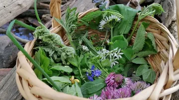 Korb mit gemischten Kräutern und Blumen draußen.