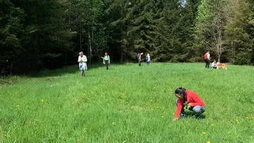 Menschen spazieren in einer grasigen Waldlichtung.