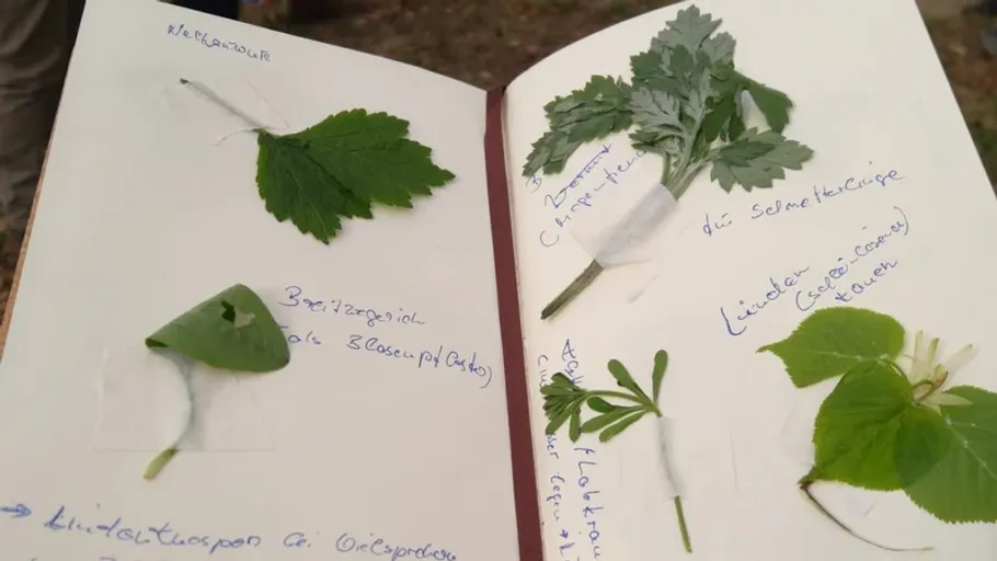 Notizbuch mit verschiedenen angeklebten Blättern.