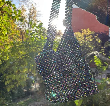 Sparkly bag hanging on tree branch outdoors.