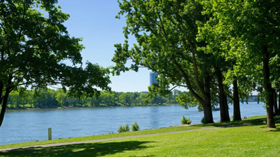 Trees line a riverside under a clear sky.