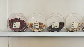 Vier beschriftete Gläser mit getrockneten Pflanzenproben.