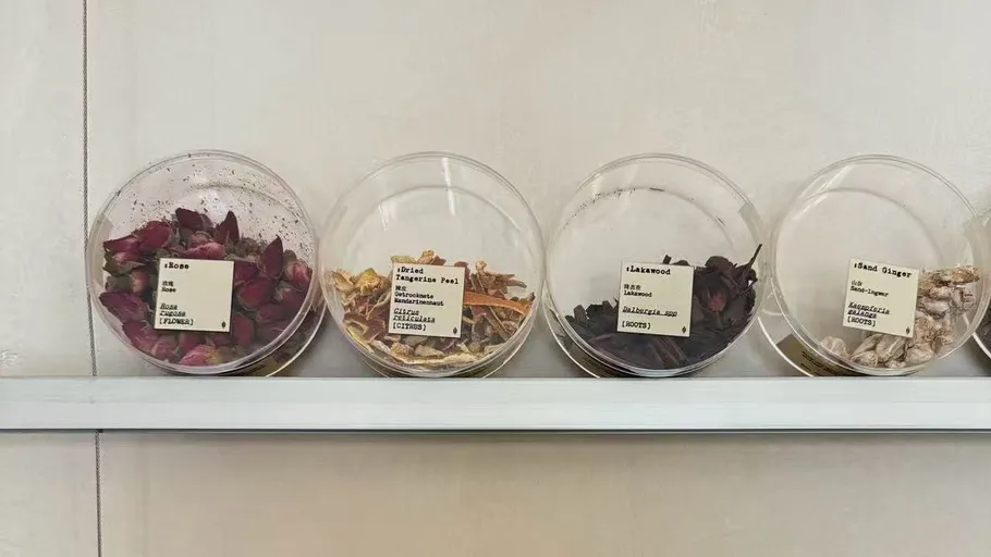 Four labeled jars with dried botanical samples.