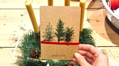 Hand holding festive card with tree branches.