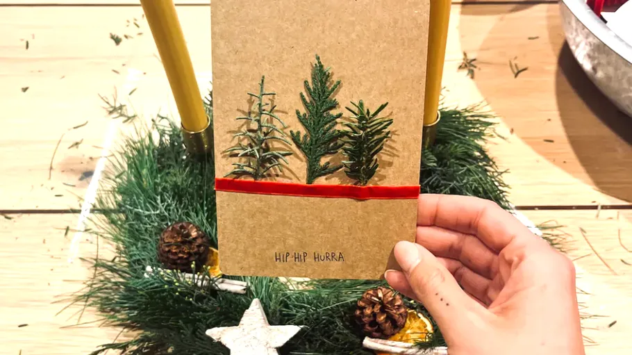 Hand holds card with tree design.