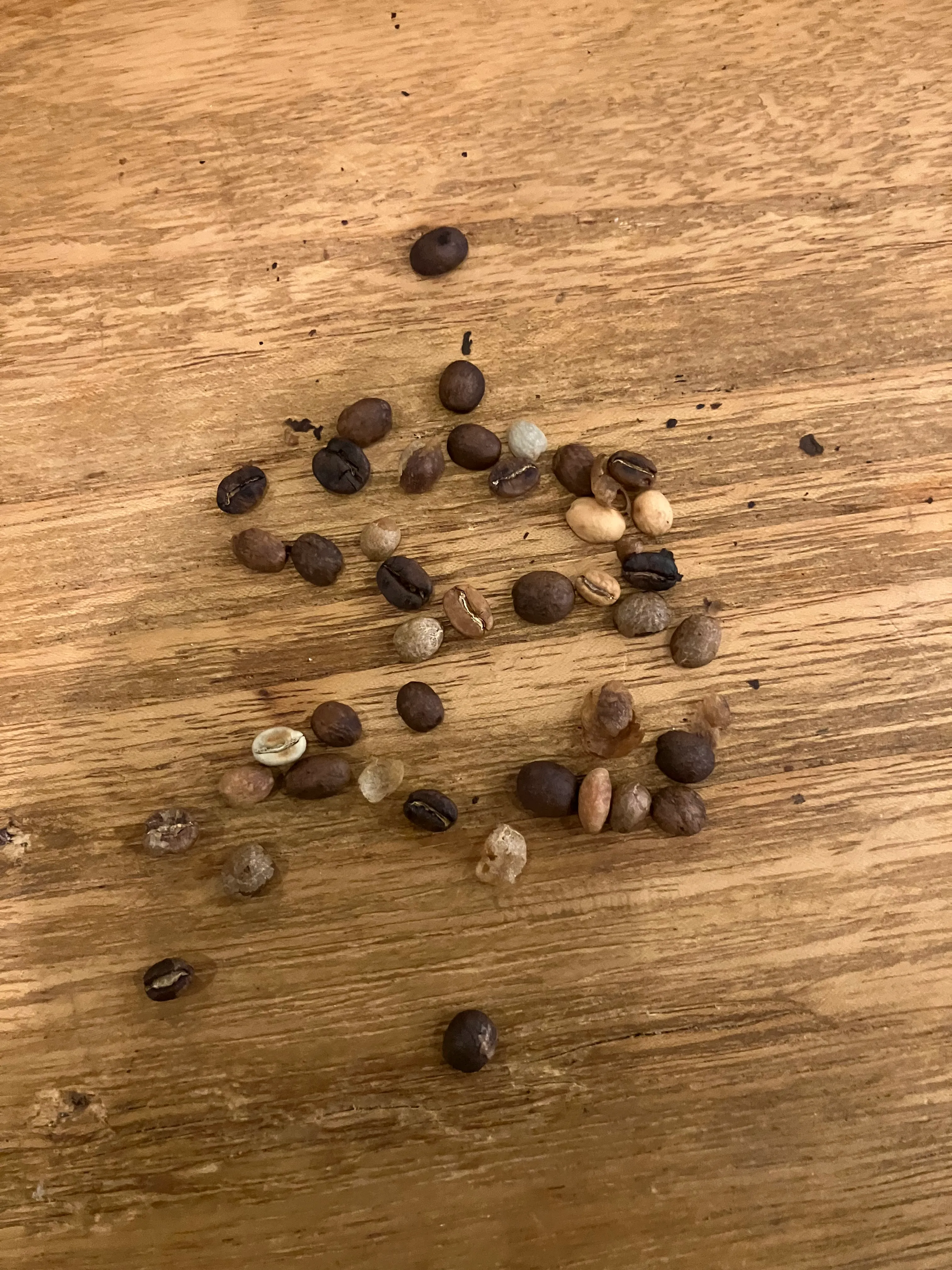 Kaffeebohnen auf Holzoberfläche verstreut.