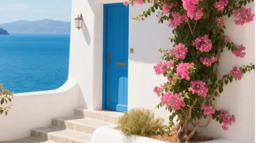 Bougainvillea climbs white house by the sea.